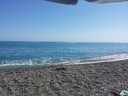 Endiktis Art Home Katofigi