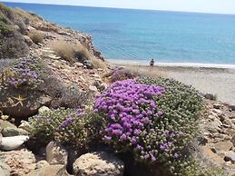 Endiktis Art Home Katofigi