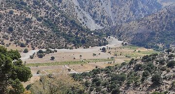 Endiktis Art Home Katofigi