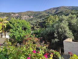 Endiktis Art Home Katofigi