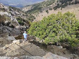 Endiktis Art Home Katofigi