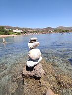 Endiktis Art Home Katofigi