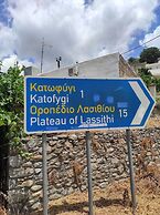 Endiktis Art Home Katofigi