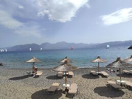 Endiktis Art Home Katofigi