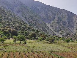 Endiktis Art Home Katofigi