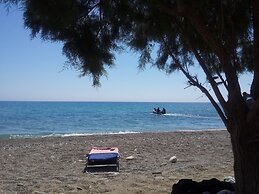 Endiktis Art Home Katofigi