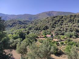 Endiktis Art Home Katofigi