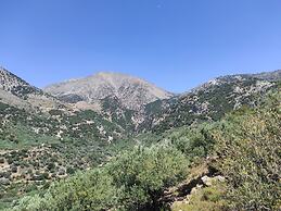 Endiktis Art Home Katofigi