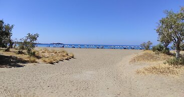 Endiktis Art Home Katofigi