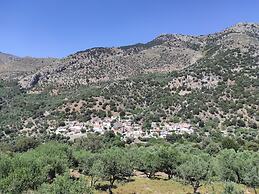 Endiktis Art Home Katofigi