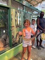 Sians Starfruit Villa