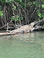 Sians Starfruit Villa