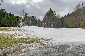Sapphire Valley Resort Cabin w/ Fireplaces + Grill