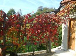 Vineyard cottage Med vinogradi