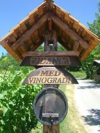 Vineyard cottage Med vinogradi