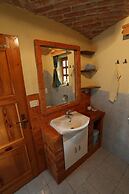 Vineyard cottage Med vinogradi