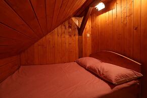 Vineyard cottage Med vinogradi