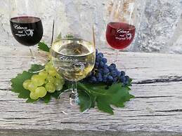 Vineyard cottage Med vinogradi
