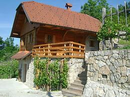 Vineyard cottage Med vinogradi