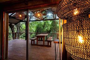 Matumi Trail Forest Lodge