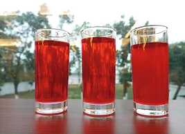 Shada Pathor Hotel & Resort Sylhet