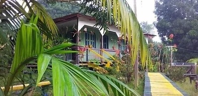 Mermaid Hotel Amazon