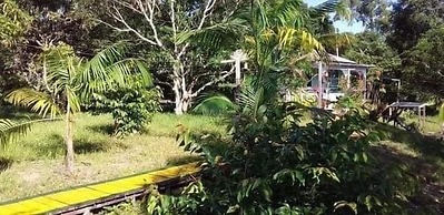 Mermaid Hotel Amazon