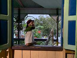 Mermaid Hotel Amazon