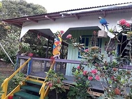 Mermaid Hotel Amazon