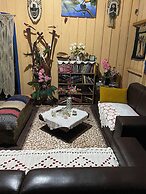 Mermaid Hotel Amazon