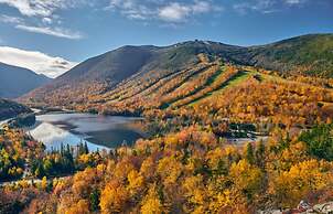 Under Canvas White Mountains