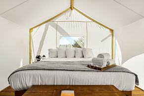 Under Canvas White Mountains