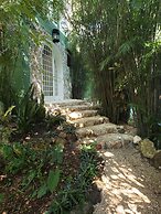 Genesis Eco Oasis