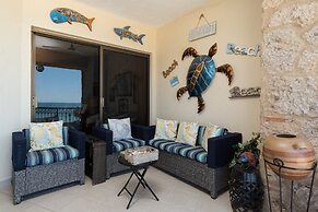Sonoran Sea III