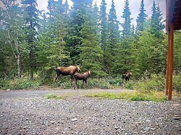 Knik Wilderness Getaway