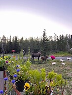 Knik Wilderness Getaway