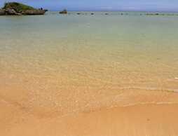 SCALLOP BEACH CONDMINIUM