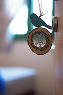 Sarpedon & Rhadamanthus By Forest Villas