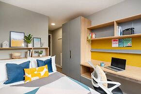 Student Only Zinc Quarter