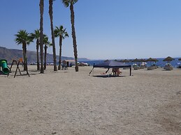 AVILEÑA TROPICAL EN AGUADULCE