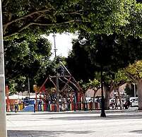 AVILEÑA TROPICAL EN AGUADULCE