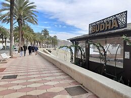 AVILEÑA TROPICAL EN AGUADULCE