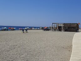 AVILEÑA TROPICAL EN AGUADULCE