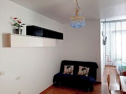 AVILEÑA TROPICAL EN AGUADULCE