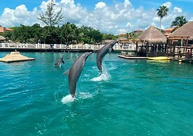 Boho Dolphinarium view