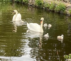 Cozy Cottage Retreat on Glan Gwna Holiday Park