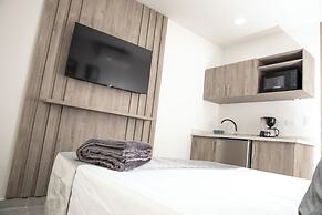 kasa Cactus Laureles