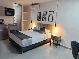 kasa Cactus Laureles