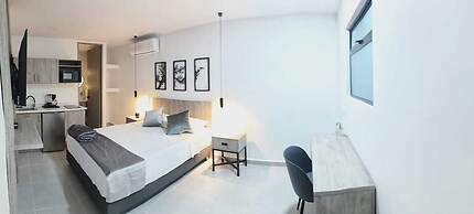 kasa Cactus Laureles