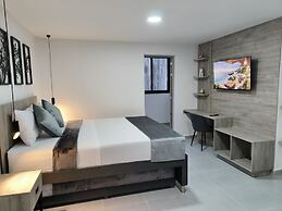 kasa Cactus Laureles